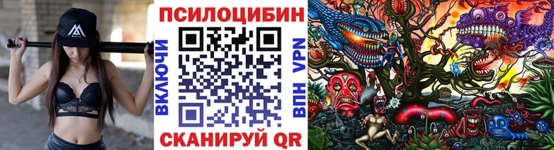 Псилоцибиновые грибы Psilocybine cubensis Артёмовск
